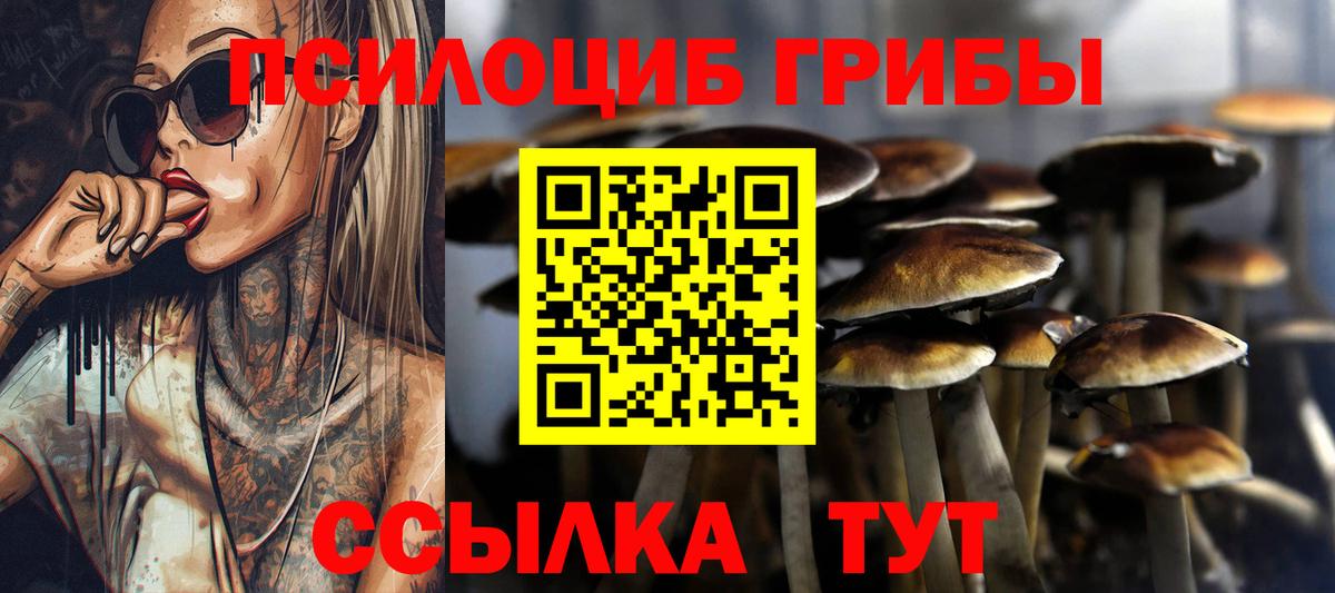 Псилоцибиновые грибы GOLDEN TEACHER Алапаевск