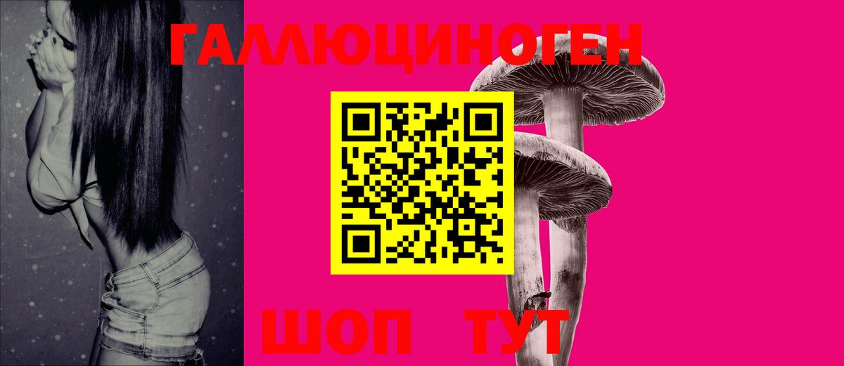 Галлюциногенные грибы MAGIC MUSHROOMS  Псилоцибиновые грибы Psilocybe  Вход с VPN  Алапаевск 